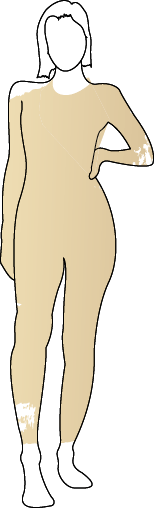 Körpermodel